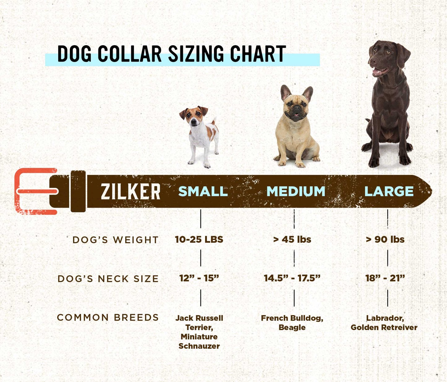 Waterloo Dog Collar
