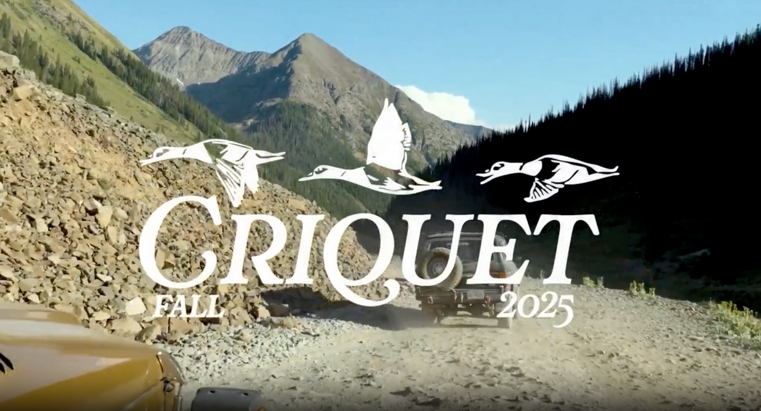 Criquet