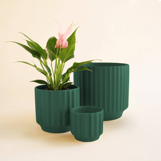 Monroe Planter | Rainforest