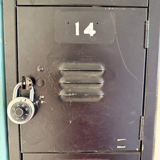 #14 Minthorn Locker