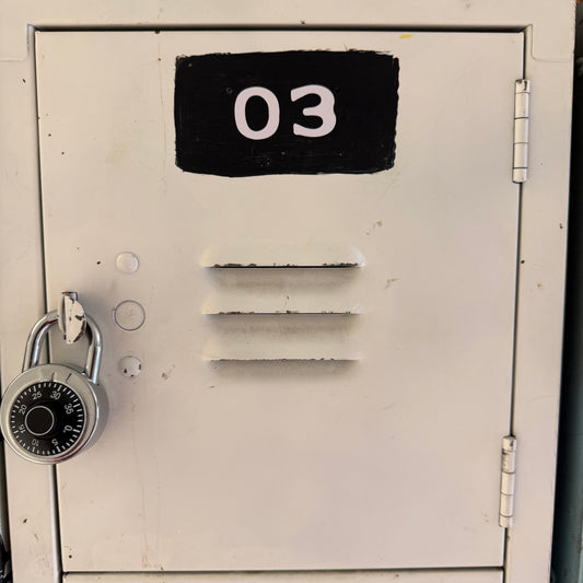 #3 Minthorn Locker