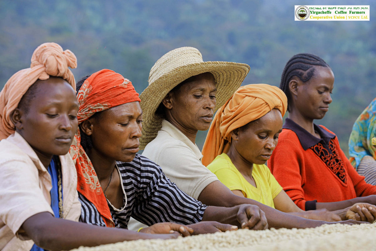 Ethiopia Yirgacheffe