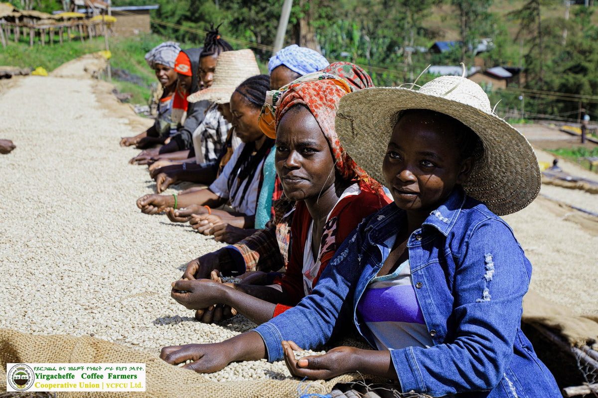 Ethiopia Yirgacheffe
