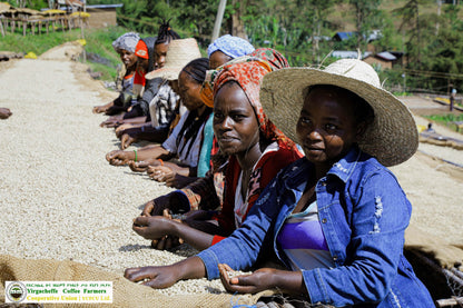 Ethiopia Yirgacheffe