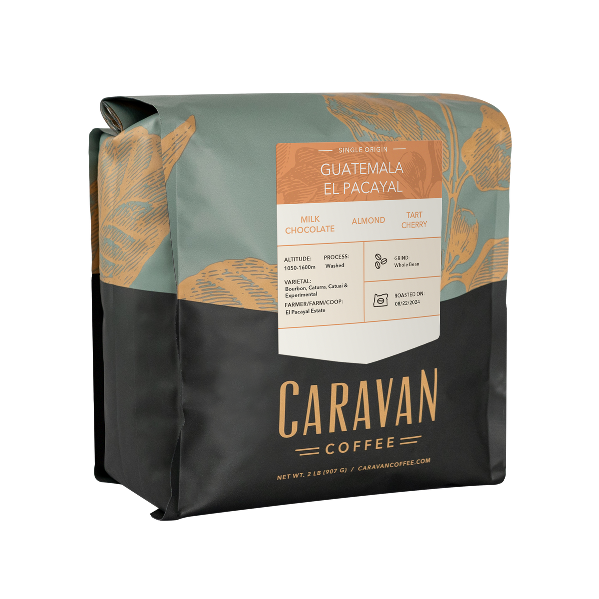 Guatemala El Pacayal