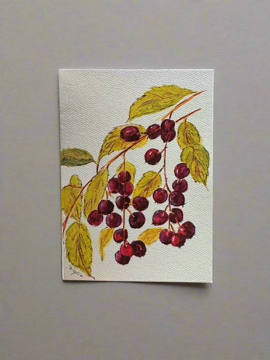 "Chokeberries" Greeting Card by Anne Mary Wylie