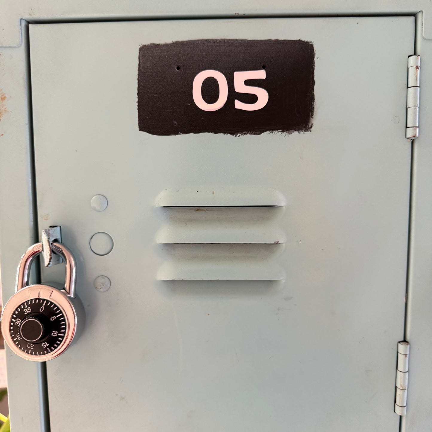 #5 Minthorn Locker