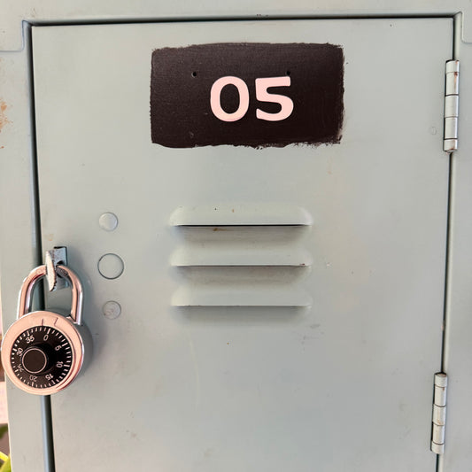 #5 Minthorn Locker