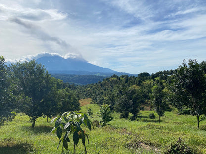 Guatemala El Pacayal