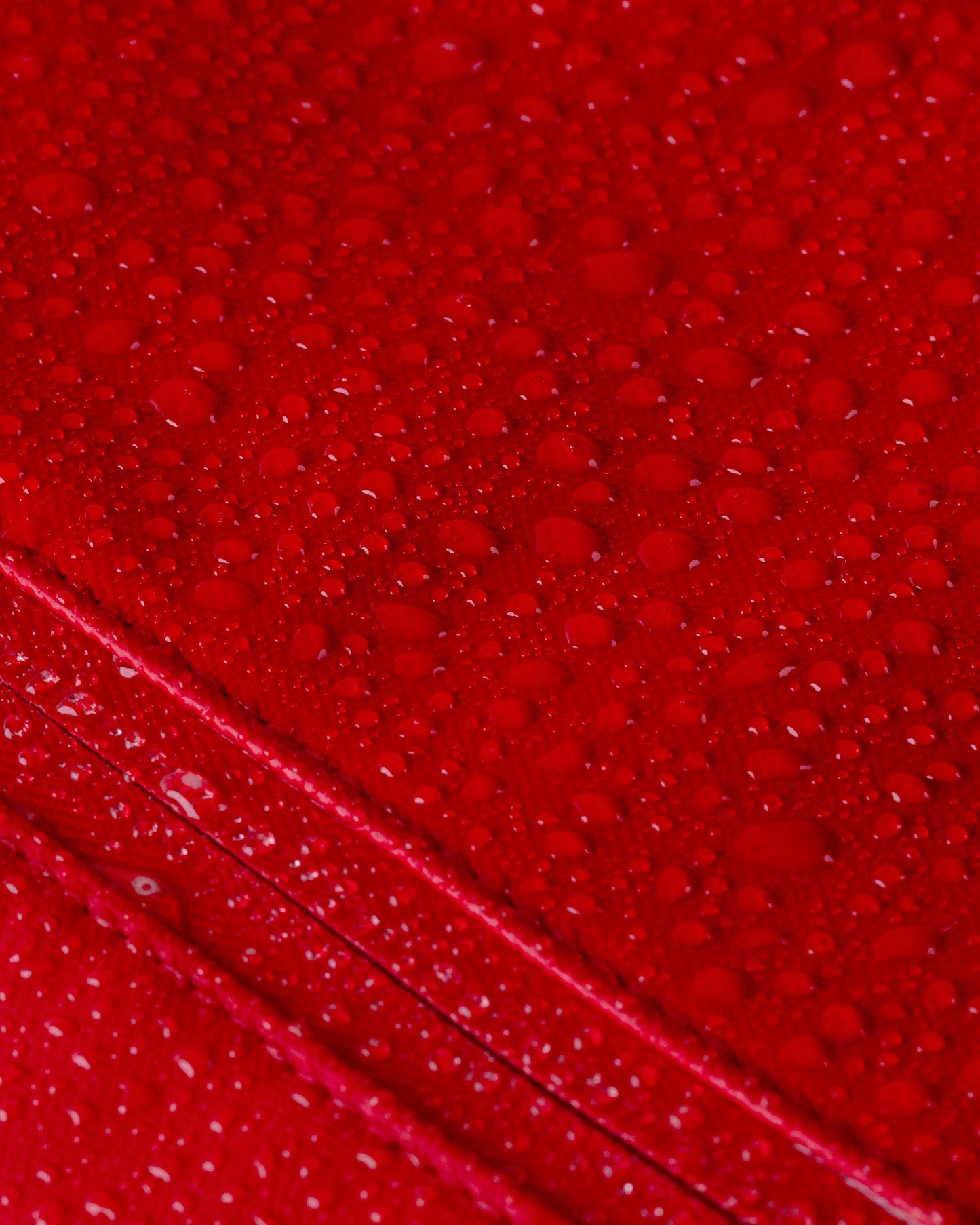 Cascade Backpack - Compact