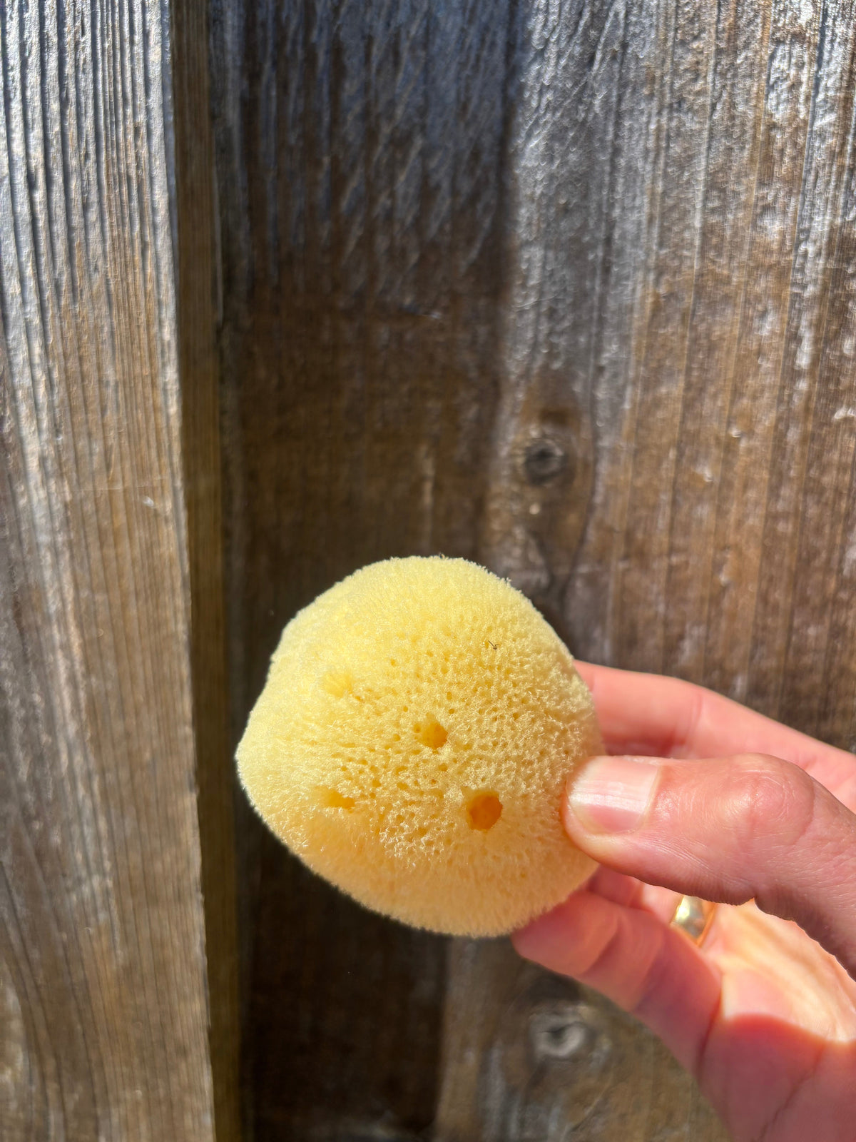 Mineral Sea Sponge
