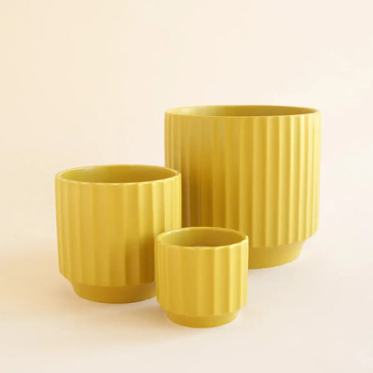 Monroe Pot | Palm